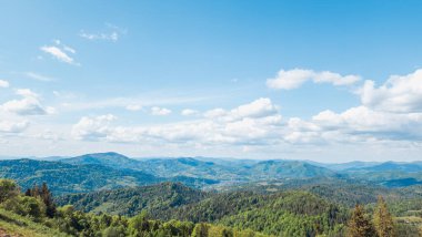 Karpatlar 'da güzel bir yaz manzarası.