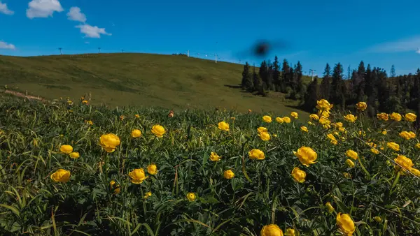 stock image beautiful view of the nature