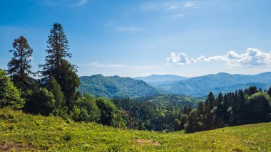 Güzel dağ manzarası. Karpatlar, Ukrayna