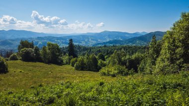 Ormandaki mavi bulutlu güzel dağ manzarası Ukrayna 'daki Karpatlar.