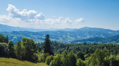 Karpatların arka planında yeşil orman ve sıradağlar var.