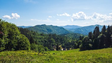Ukrayna Karpatlar güzel dağ manzarası