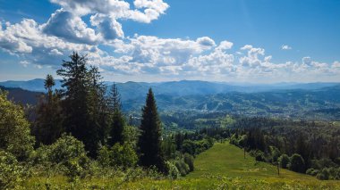 Ukrayna Karpatları 'nda yaz manzarası