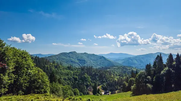 Yeşil orman, güzel doğa ve mavi gökyüzü ile yaz dağı manzarası.