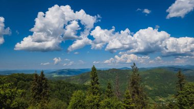 Bulutlu ve mavi gökyüzü olan dağ ormanı
