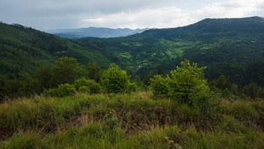 Ormanda dağları olan güzel bir manzara.