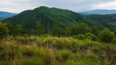 Yazın güzel dağ manzarası