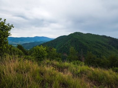 Ukrayna Karpatlar 'ında bir dağ sırası. yaz zamanı.
