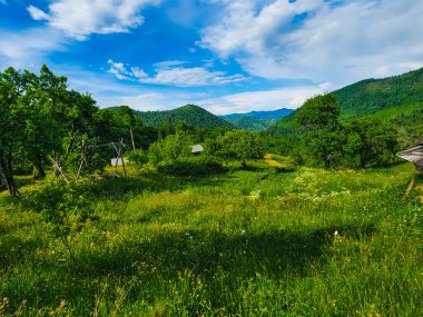 a beautiful landscape of the mountains