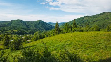 Karpatların yeşil dağları. yaz günü.