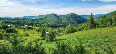 Yeşil orman dağlarında