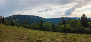 Dağlar ve ormanlarla dolu güzel bir yaz manzarası.