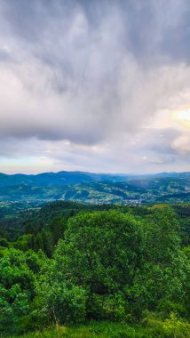 Güzel bulutlu bir arkaplanı olan yeşil ağaçların dikey görüntüsü.