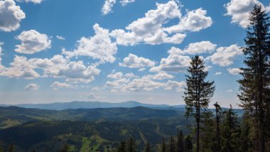 Bir dağın tepesinden Karpatlar 'ın manzarası. Yaz günü. yüksek kaliteli fotoğraf