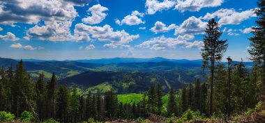 paesaggio estivo nelle montagne dei Carpazi