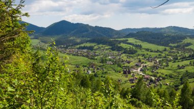 Karpat dağlarda yaz peyzaj. Ukrayna