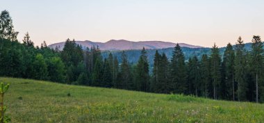 Güneş ve ağaçlarla kaplı dağ manzarası
