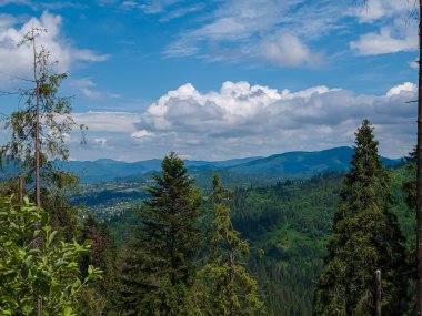 Karpatlar 'da güzel bir yaz manzarası