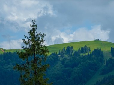 Karpatya ormanlarındaki dağ manzarası