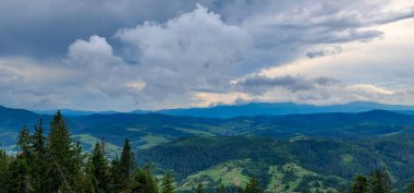 Yaz mevsiminde Karpat Dağları