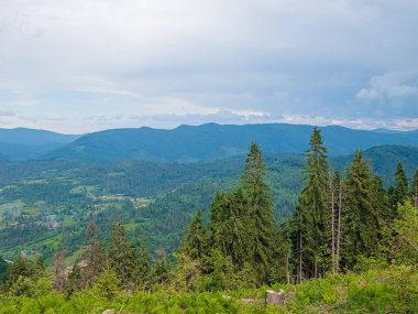 Karayipler 'in güzel manzarası