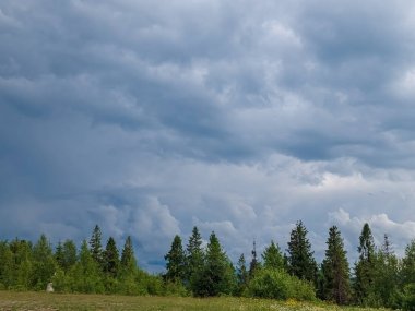 Ormanın üzerinde fırtına bulutları