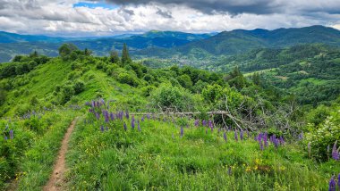 manzara Dağları'nın Kuzey İspanya