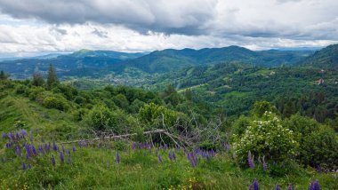 Yeşil dağları ve bulutları olan güzel yaz manzarası