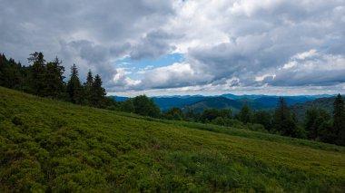 Bulutlu ve mavi gökyüzüyle yaz manzarası