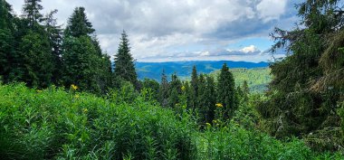 Dağları ve bulutları olan güzel bir manzara