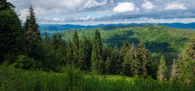 Güzel bir dağ manzarası