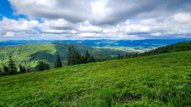 Ukraynalı Karpatların yaz manzarası.
