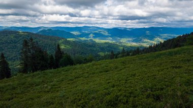 Ukrayna 'daki Karpat Dağları. güzel doğa.