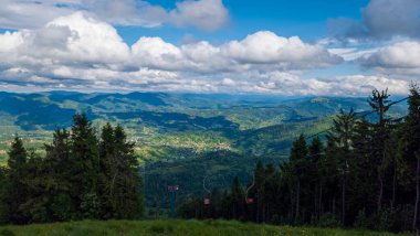 Karpatlarda Yaz manzarası.
