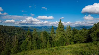 Karpat dağlarının güzel manzarası
