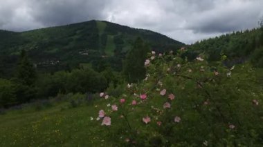 Dağlarda dağları olan güzel bir manzara.