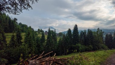 Karpat Dağları 'ndaki güzel dağ manzarası.