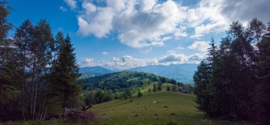 Karpatlar'ın dağ manzarası