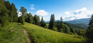 Yaz dağı yolu. Karpat Dağları.
