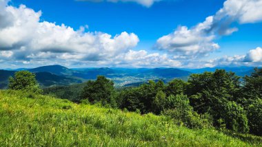 güzel yeşil dağ manzarası