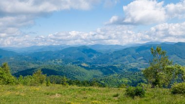 Yazın Karpat Dağlarının manzarası
