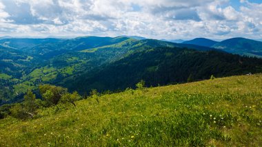 Karpat Dağları 'nın yaz günündeki güzel manzarası