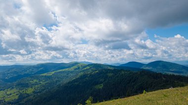 Dağları ve yeşil otları olan güzel yaz manzarası
