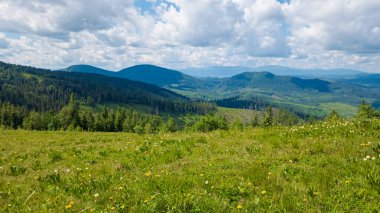 Ukrayna Karpatları 'nın yaz manzarası.