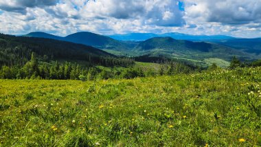 Güzel yeşil ormanı ve çayırı olan yaz dağı manzarası