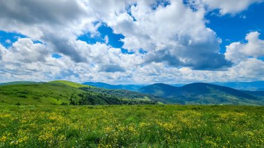 Karpaian Vadisi 'nin yaz manzarası.