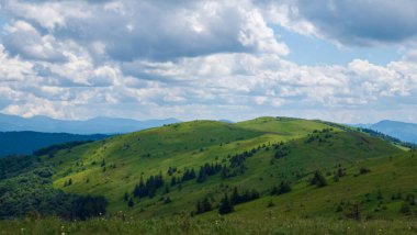 Yeşil çayırları ve dağları olan yaz manzarası. Karpatlar, Ukrayna.