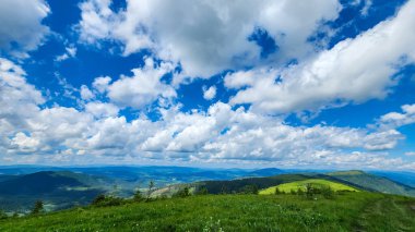 Mavi gökyüzü ve arka planda yeşil çimlerle güzel bir manzara.