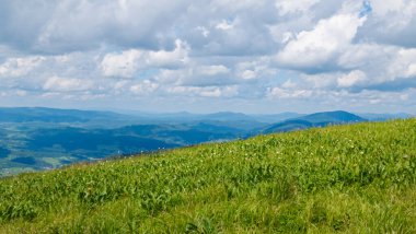 Ukraynalı Karpatların manzarası.