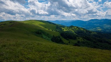 Karpatlar 'da dağ sırası olan güzel yeşil bir manzara.